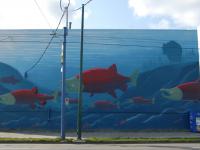 Salmon mural, wall