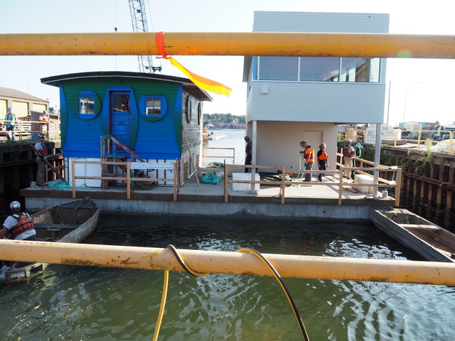 Blue Cabin Public Launch August 25, 2019